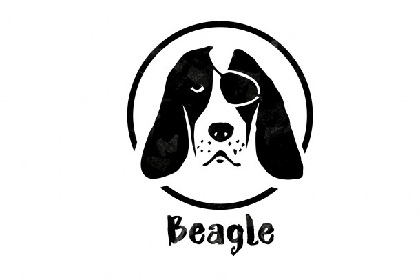 3 Pirate Beagle (1820x1214)